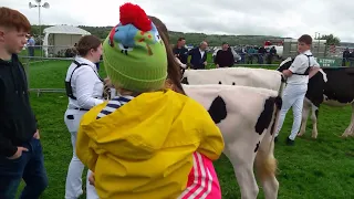 Kingdom County Fair Tralee 12 May 2024