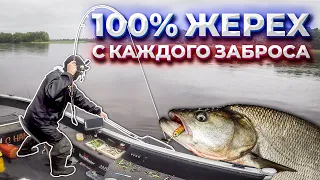 ОФИГЕТЬ! ЖЕРЕХ на спиннинг летом С КАЖДОГО ЗАБРОСА 100%