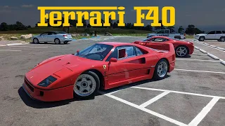 The Ultimate Driving Experience! Ferrari F40 on a Mountain Road