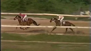 1993 Jamaica Derby