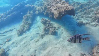 Omeo wreck Maritime Trail