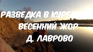 Разведка р.Волхов , Курганы, ЖОР в д. Лаврово