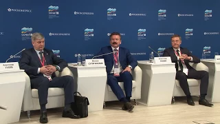 Выступление на Российском Инвестиционном форуме (Сочи 2018)