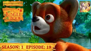 The Jungle Book Cartoon Show Full HD | Session 1 Episode 19 | CNE | The Jungle Tour