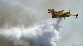 Canadair and Dash water bomber planes to help subdue wildfires in France