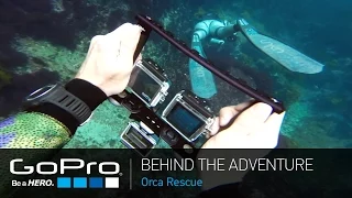 GoPro BTS: Orca Rescue