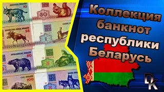 Коллекция банкнот Республики Беларусии 🇧🇾/ Republic of Belarus banknotes collection 🇧🇾