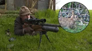 The Airgun Show – Hunting rabbits with ambush tactics, PLUS the AirForceOne Sirocco on test…