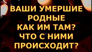 ВАШИ УМЕРШИЕ РОДНЫЕ КАК ИМ ТАМ ?ЧТО С НИМИ СЕЙЧАС ?гадания карты таро онлайн на любовь