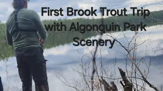 1st Brook Trout Attempt in Algonquin Park