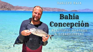 Bahia Concepcion, Baja: Beautiful Beach Camping, Kayaking & Spearfishing! Vanlife Baja Adventures!