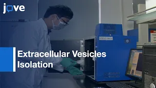 Extracellular Vesicles Isolation and Characterization | Protocol Preview