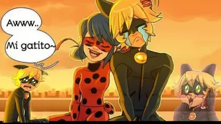 Soy tu gatito | comic miraculous ladybug | fandub latino | mari fd