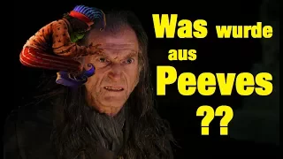 WAS wurde aus PEEVES?! - Harry Potter BUCH vs. FILM 🔥👻