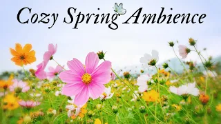 Cozy Spring Ambience | A spring day with birds singing | 1 hour | For Relaxing, study and reading