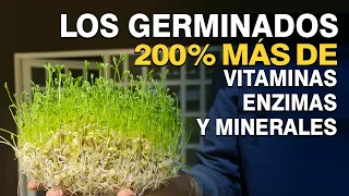 Los Germinados - Hasta 200 % mas de vitaminas, enzimas, aminoácidos y minerales.