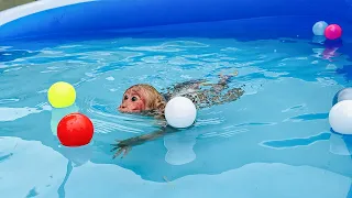 So Funny! Bibi experiences swimming in a large swimming pool!