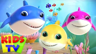 New Baby Shark Song | Kids Tv Nursery Rhymes | Kids Show | Baby Songs