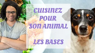 L'Essentiel sur la Ration Ménagère pour Chiens et Chats