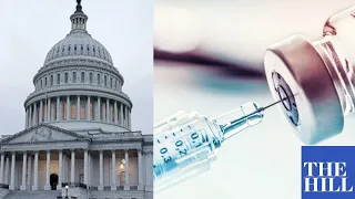 Anti-Vaccine doctor testifies before the Senate | FULL HEARING