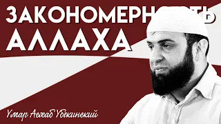 Закономерность Аллаха | Пятничная хутба | Умар Асхаб Убекинский