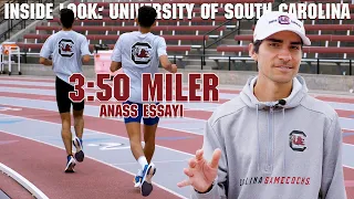 Inside Look: South Carolina Men do 20x400 (3:50 Miler)