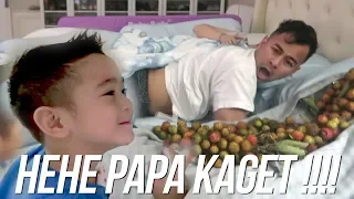 PRANK PAPA RAFFI - SEKELILING PAPA ADA RAMBUTAN !!!