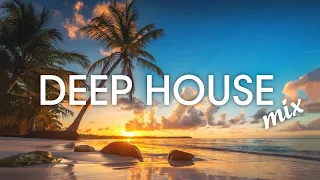 Avicii, Calvin Harris, Kygo, Alok, Robin Schulz, David Guetta, Gryffin   Summer Vibes Mix #445