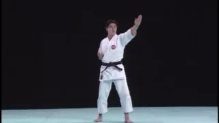 Kata Nipaipo Explanation Shitoryu Karate Do