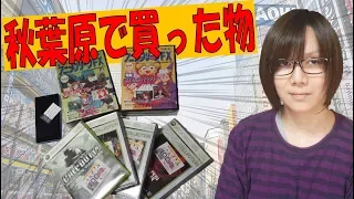 【ジャンク】秋葉原の裏通りジャンク街で買ったもの紹介【Vlog】