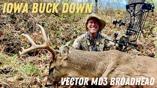 IOWA BUCK DOWN! Vector MD3 Broadhead