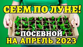 ДЛЯ БОГАТОГО УРОЖАЯ! Лунный посевной календарь на АПРЕЛЬ 2023  #лунныйпосевнойкалендарь