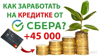 Как заработать на кредитной карте от СБЕРа 45 000 - 48 000 рублей? Или как увеличить свой доход?