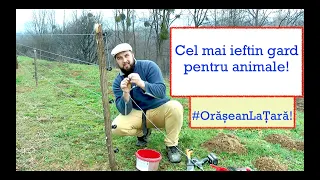 CEL MAI IEFTIN GARD PENTRU ANIMALE! #OrășeanLaȚară!