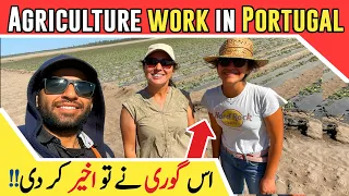 Agriculture Work In Portugal With Girls | Planting of Sweet Potatoes In Portugal @lifewithshahbaz
