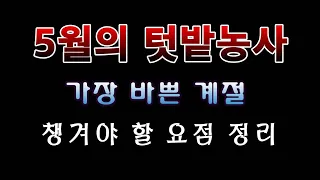 [텃밭농부 1,437]  5월의 텃밭농사 정보. #월별 농사 정보.