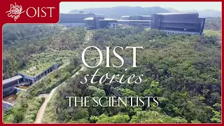 OIST Stories: OIST Scientists