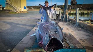 10 Der Teuersten Gefangenen Fische Aller Zeiten