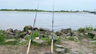 Рыбалка на наживку, ловля леща на фидеры 2024
