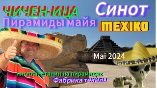 MEXICO. Chichen Itza . SENOT MAYA . Agava tekyla . Мексика .Пирамиды майя. Сенот . Текила . Май 2024