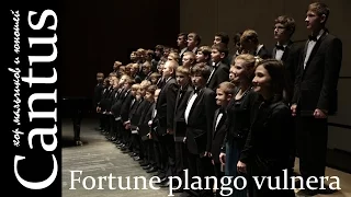 Fortune plango vulnera - К. Орф. Хор мальчиков и юношей «Cantus» ДМШ им. Й. Гайдна