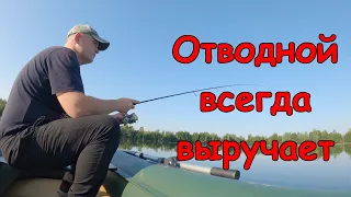 Окунь на Ультралайт. Отводной поводок вытащил рыбалку!