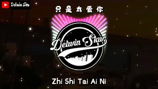 只是太爱你 【Zhi Shi Tai Ai Ni】 DJ Remix 2021