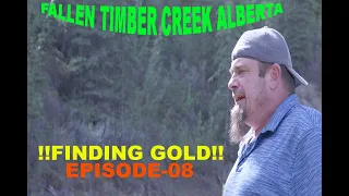 FINDING GOLD!(Episode-08) FallenTimber Creek @ Bergen Alberta!! 2021.