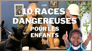 10 races de chiens DANGEREUSES pour les ENFANTS !