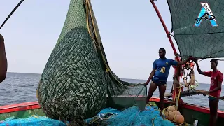 Big Catch Fishing in The Sea | Net Fishing in The Sea | KADAL