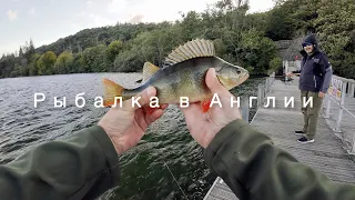 Рыбалка на самом большом озере в Англии Windermere Лэйк Дистрикт