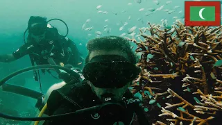 Scuba Diving in the Maldives - Maafushi Vlog 🇲🇻