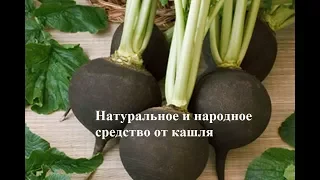 Супер средство от кашля.  Редька и мёд.