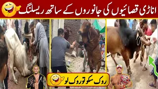 Qurbani Funny Video 2022 -2023 | cow funny videos | Qurbani Animals Funny Moments Caught On Camera